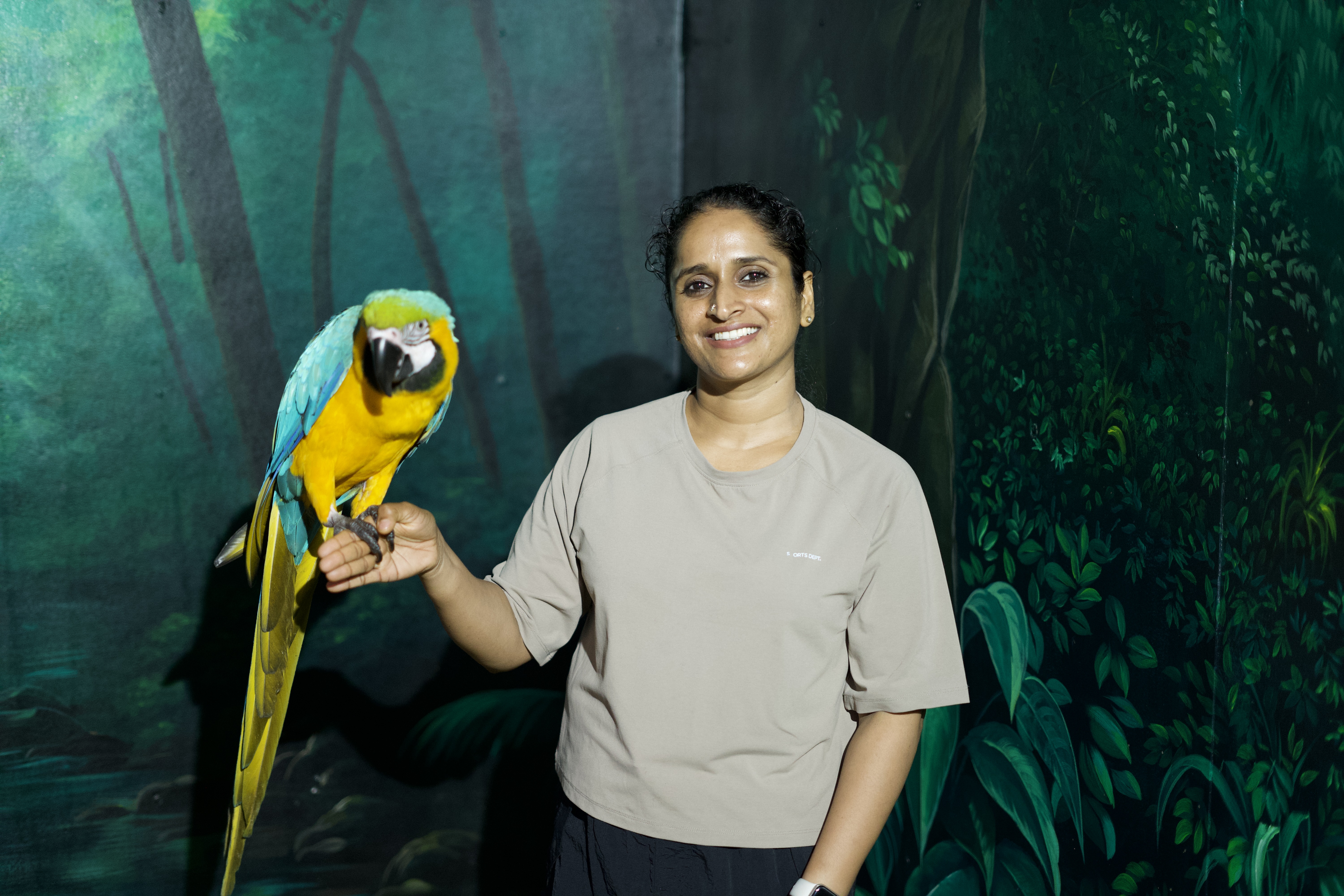Macaw